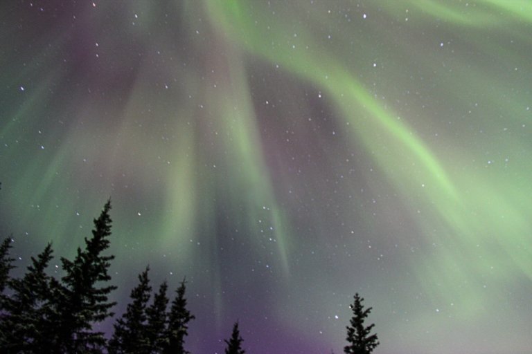 Aurora, northern lights, Alaska, northern lights Alaska, aurora Alaska