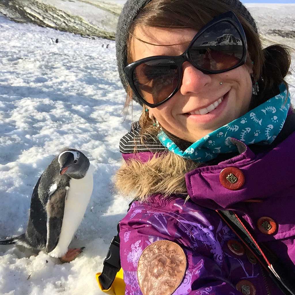 Antarctica, Gentoo Penguin, Oceanwide Expeditions, penguin, Gentoo, Danco Island, Danco, Girls penguin