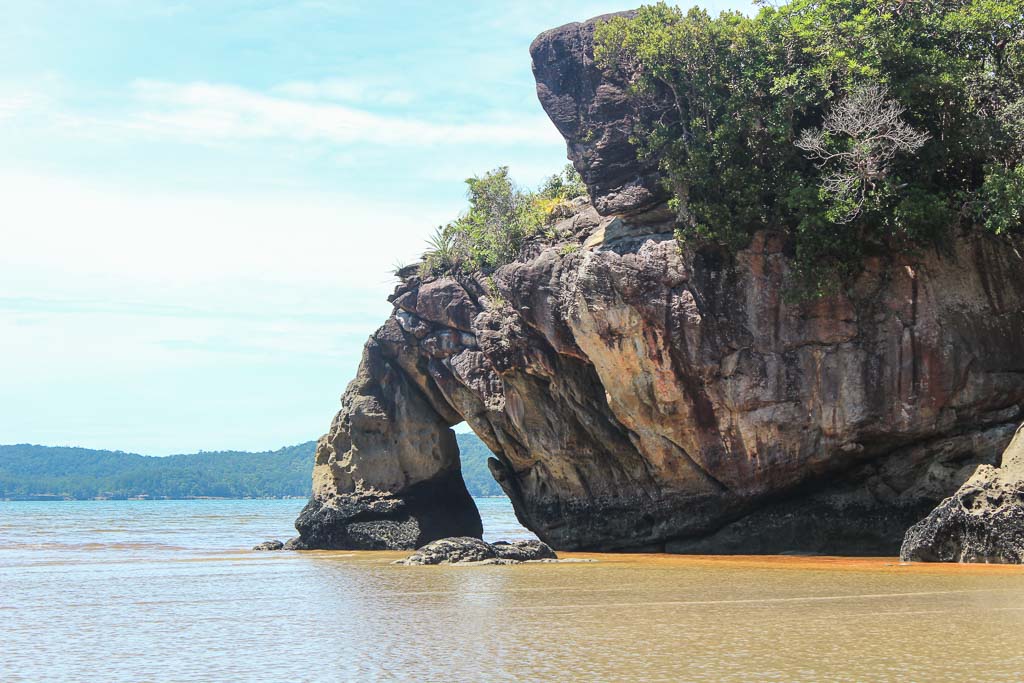 Telok Tajur Beach, Asia, Malaysia, Borneo, Sarawak, Bako National Park, Bako, Jungle, Rainforest