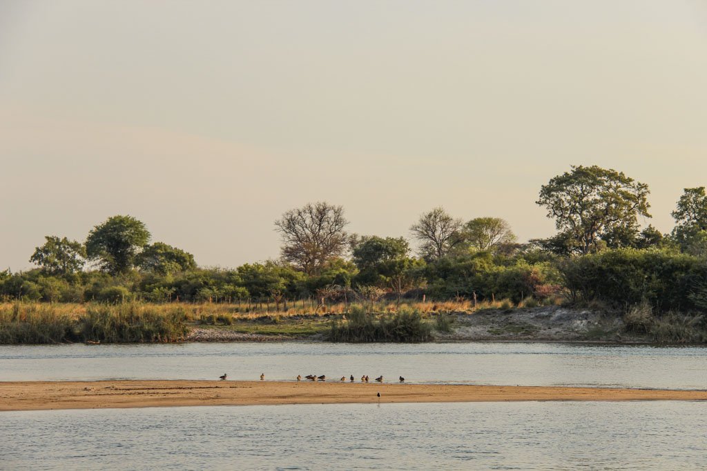 Okavango River, Mahango Game Reserve, Bwabwata National Park, Caprivi Strip, Namibia