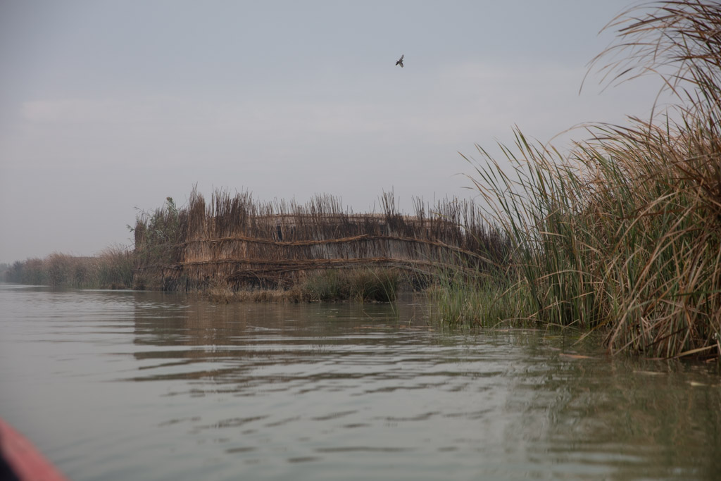 Chibayesh, Mesopotamian Marshes, Iraq-2