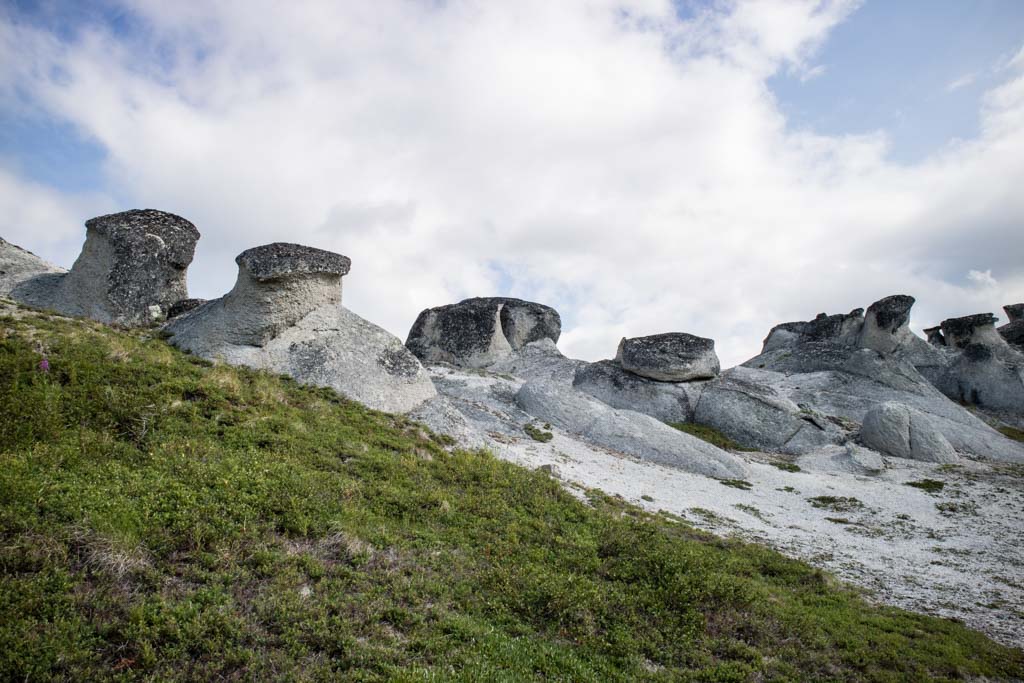 Rock formations, K'esugi Ridge Hike, Denali State Park, Alaska-3