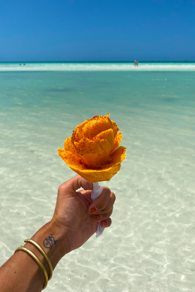 Mango, Isla Holbox, Quintana Roo, Yucatan Peninsula, Mexico