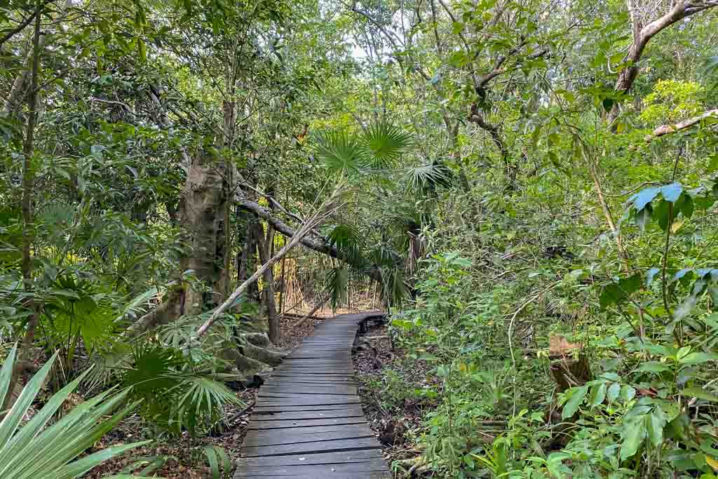 Muyil jungle walk, Quintana Roo, Yucatan Peninsula, Mexico